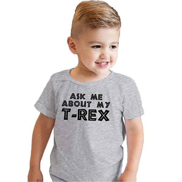 HPSP Shirt, Custom Birthday Shirt, Ask Me About My T Rex Flip T Shirt Kids Shirt Dinosaur Graphic Tee kids Clothes Fashion Funny Kids Boys Toddler shirt. - Christian Art Bag